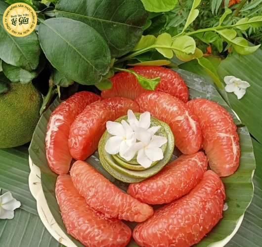 Set 12 trái Loại VIP đẹp (1.3kg - 1.5kg)