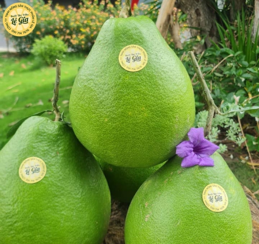 Set 6 trái Đường Lá Cam Loại 2 (1kg - dưới 1.1kg) 