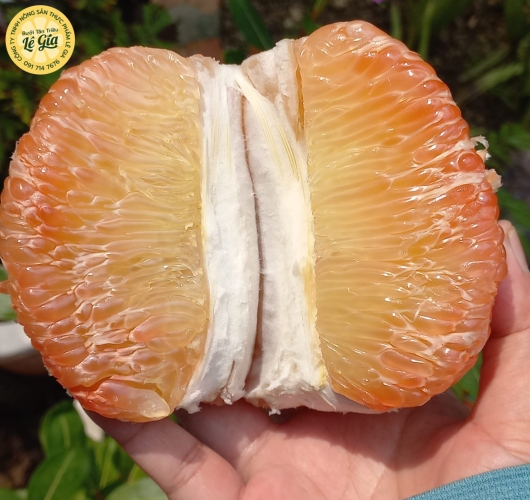 Set 6 trái Loại 2 (1.2kg - dưới 1.3kg)