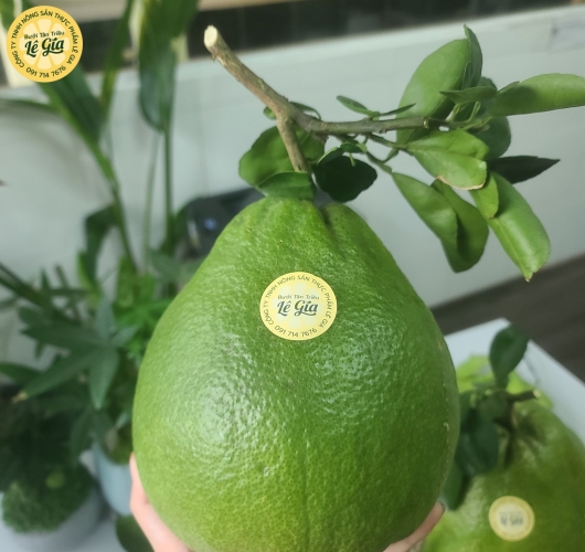Set 12 trái Đường Lá Cam loại VIP Đẹp (1.1kg - 1.3kg)