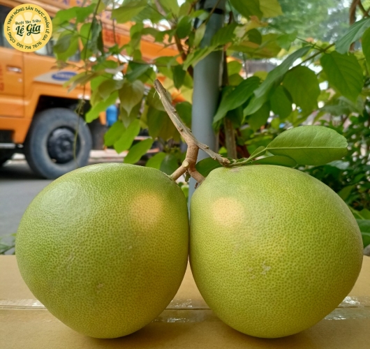Set 6 trái Loại 2 (1.2kg - dưới 1.3kg)