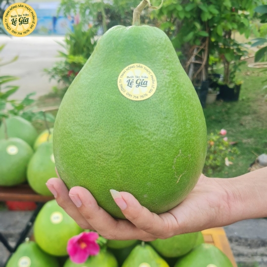 Set 6 trái Đường Lá Cam Loại 1 (1.1kg - 1.3kg) 