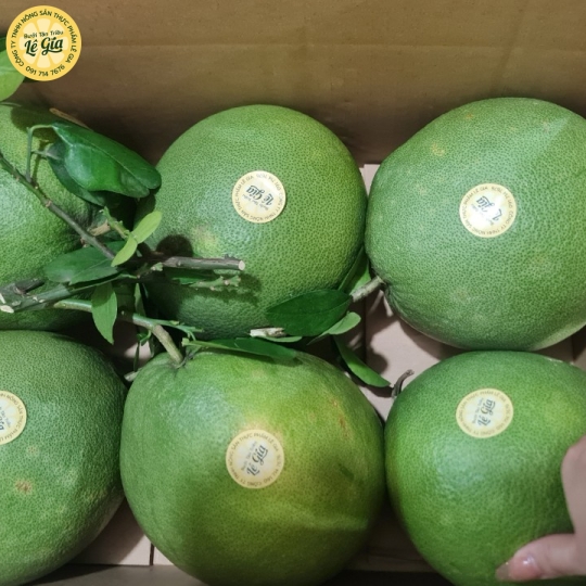 Set 12 trái Loại 1 (1.3kg - 1.5kg) 