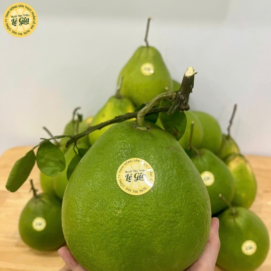 Set 12 trái Đường Lá Cam Loại 3 (800g - dưới 1kg)