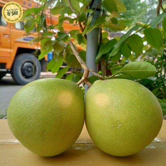Set 6 trái Loại 2 (1.2kg - dưới 1.3kg)