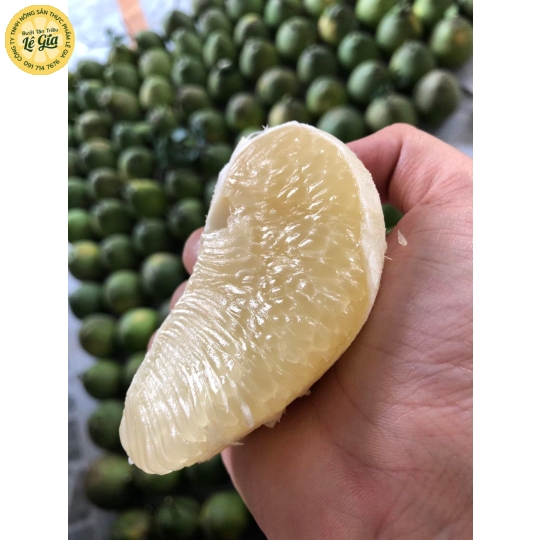 Set 12 trái Đường Lá Cam Loại 3 (800g - dưới 1kg)
