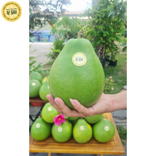 Set 6 trái Đường Lá Cam Loại 1 (1.1kg - 1.3kg) 
