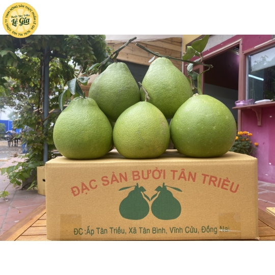 Set 6 trái Đường Lá Cam Loại 2 (1kg - dưới 1.1kg) 