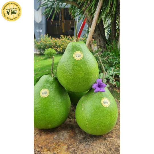 Set 6 trái Đường Lá Cam Loại 2 (1kg - dưới 1.1kg) 