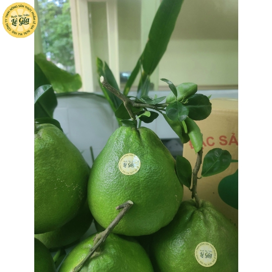 Set 6 trái Đường Lá Cam Loại 1 (1.1kg - 1.3kg) 