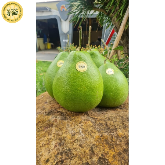 Set 6 trái bưởi Ăn Đường Lá Cam (từ 1.1kg trở lên)